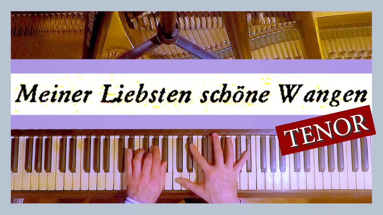 💗 BASTIEN UND BASTIENNE -Aria Meiner Liebsten schöne Wangen KARAOKE - MOZART 👉 Piano Accompaniment