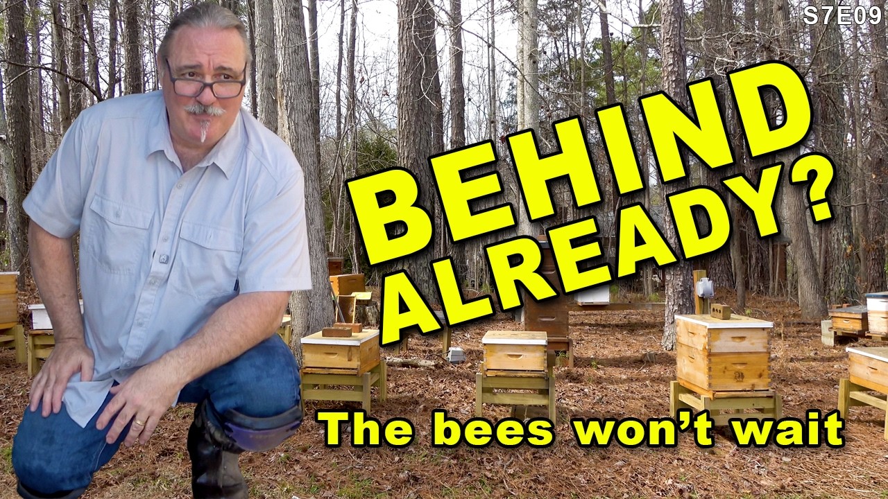 Behind already? Spring prep in the bee-yard.