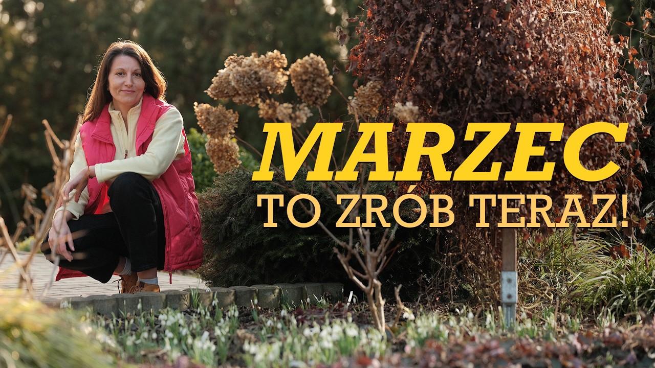 Marzec w ogrodzie! Z czym się spieszyć, a z czym poczekać? 🗓️ Pełny harmonogram wiosennych prac.