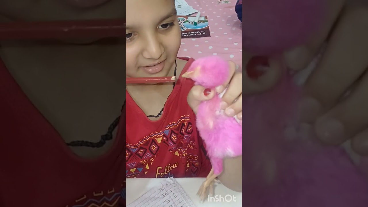 Hamara 🤩 ToTo 🐥🐤