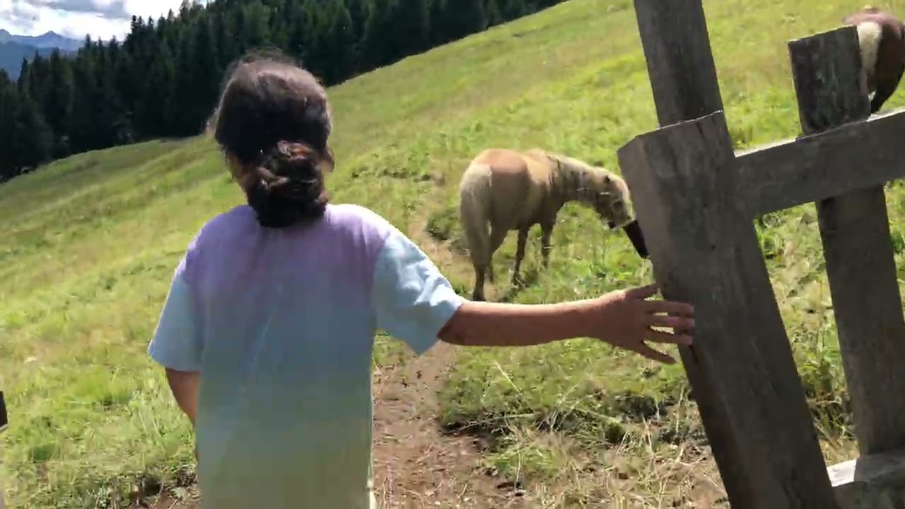 Donya beim Pferden in 2500 Meter Höhe zu Besuch 