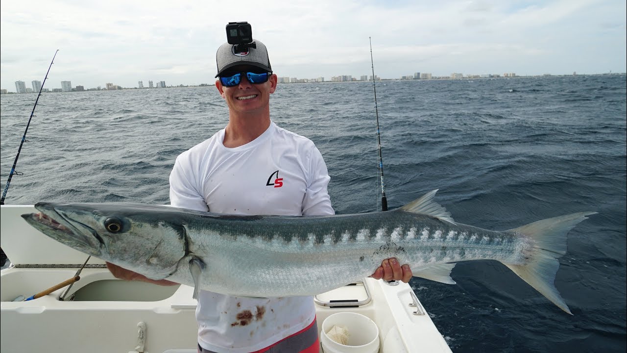 That Was CLOSE.. Grabbed MONSTER Barracuda by Hand