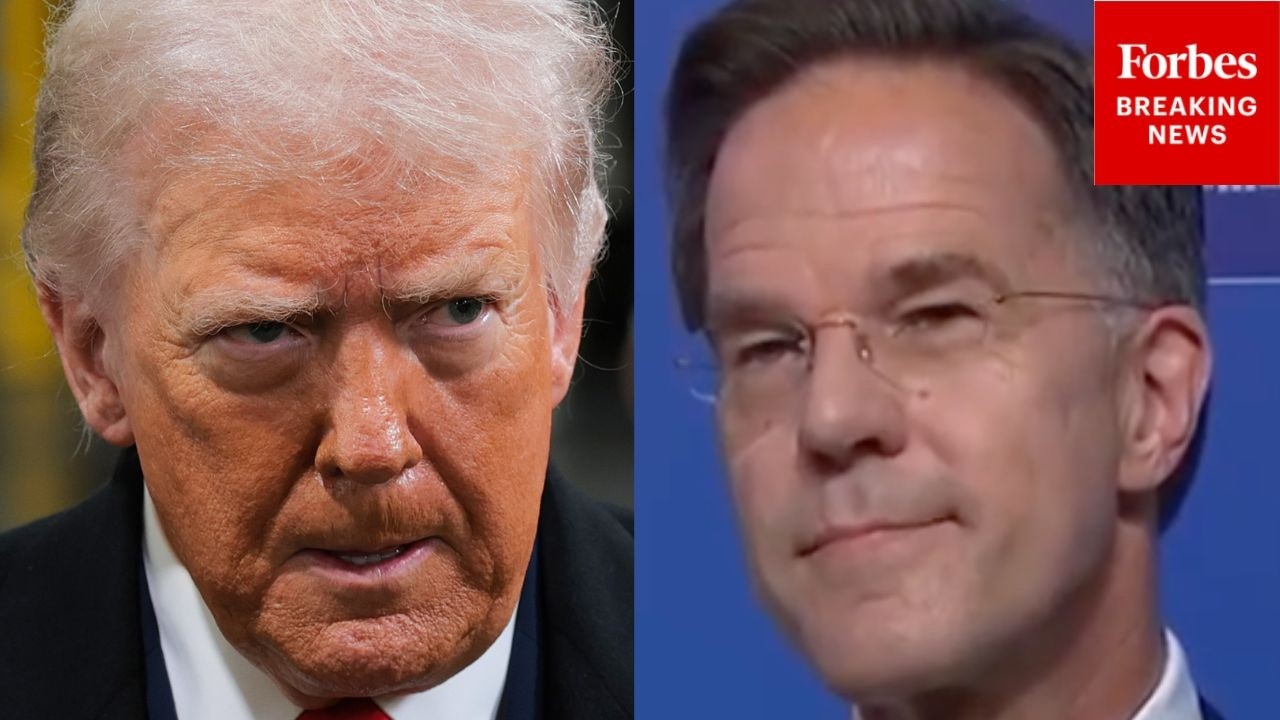 Марк Рютте ответил на слова Трампа о том, что он &laquo;очень разочарован НАТО&raquo;