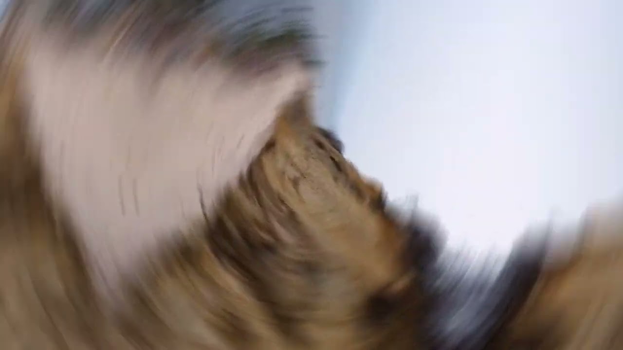 Gosań i glazy Piastowskie