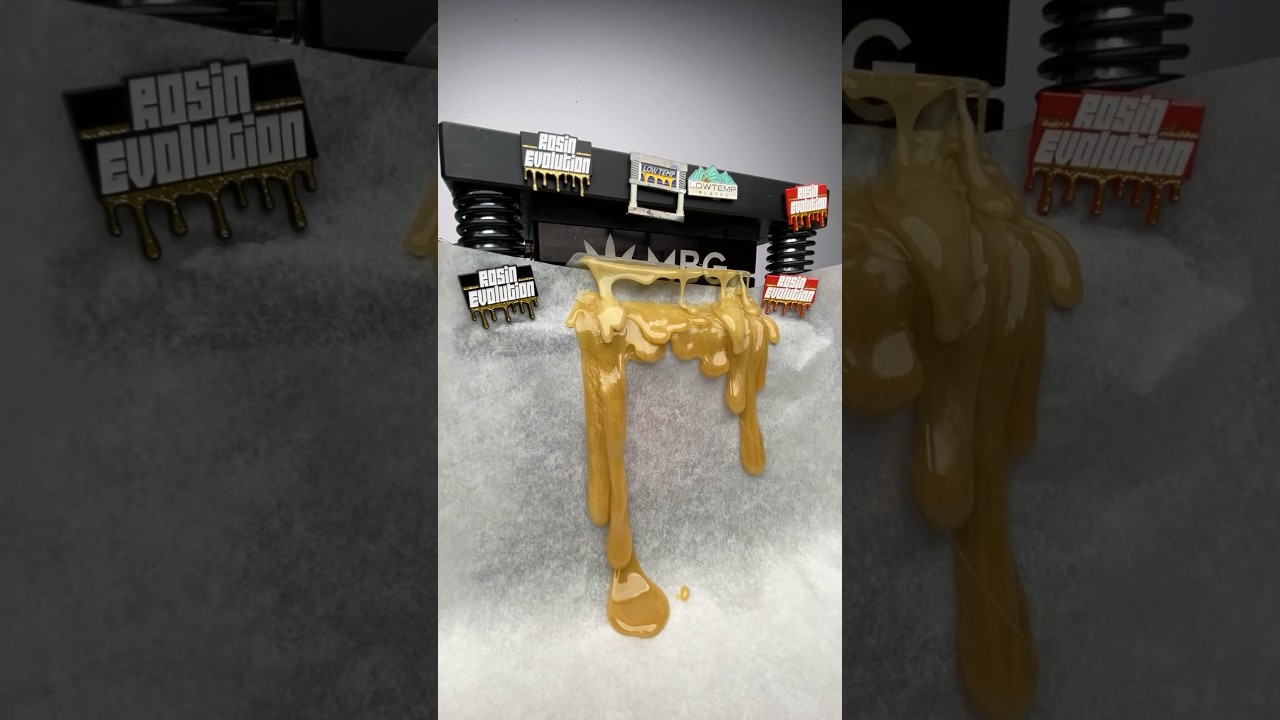 Pressed to perfection 😤 rosin processed using Rosin Evolution gear and shot by @Surfacearea999