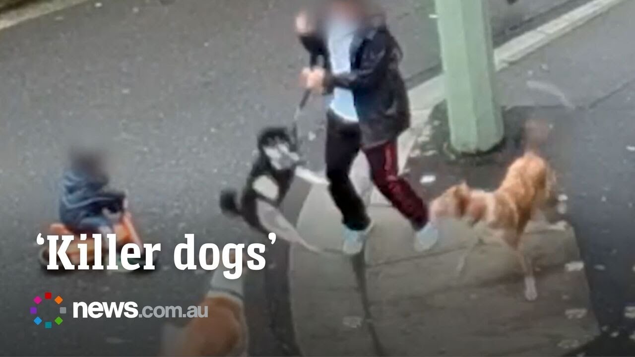 Horror dog attack in Redfern, Sydney