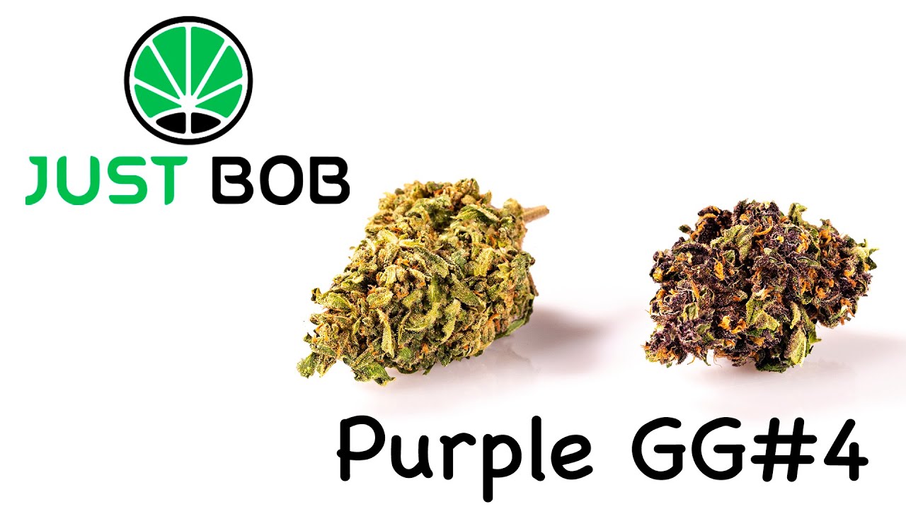 Purple GG#4 CBD - CBD Buds - JustBob ENG