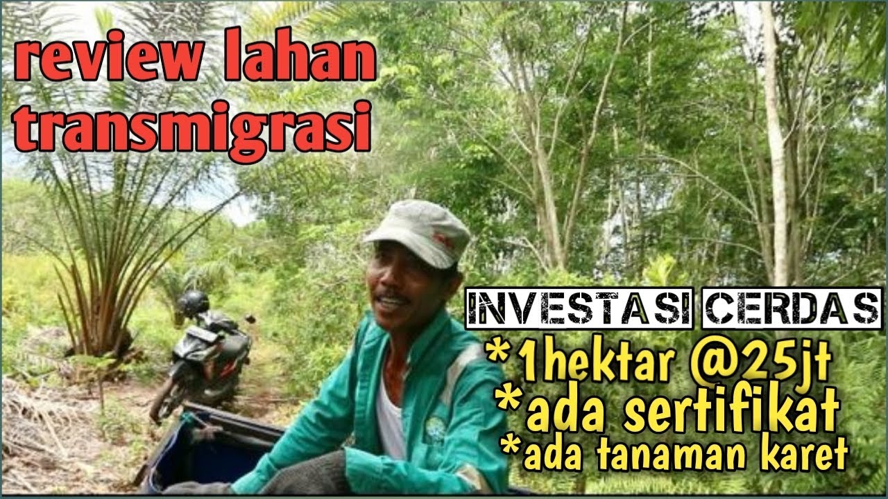 REVIEW LAHAN TRANSMIGRASI YANG MAU DIJUAL