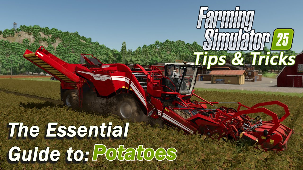 The Essential Guide to Potatoes in Farming Simulator 25