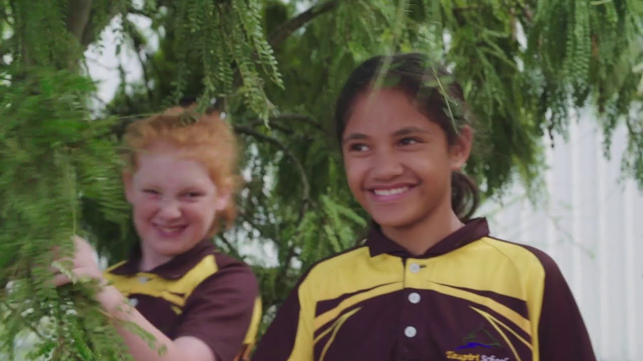 Manaaki Whenua - Constructed Wetlands Project (Community Environment Fund)