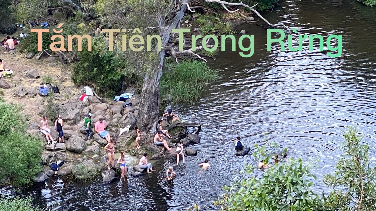 Tắm Tiên Trong Rừng l Cuộc Sống Úc l First Bath In The Forest