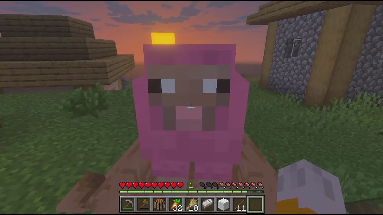 Minecraft o trovato la pecora rosa ROSSO CRAFT!!!EP1