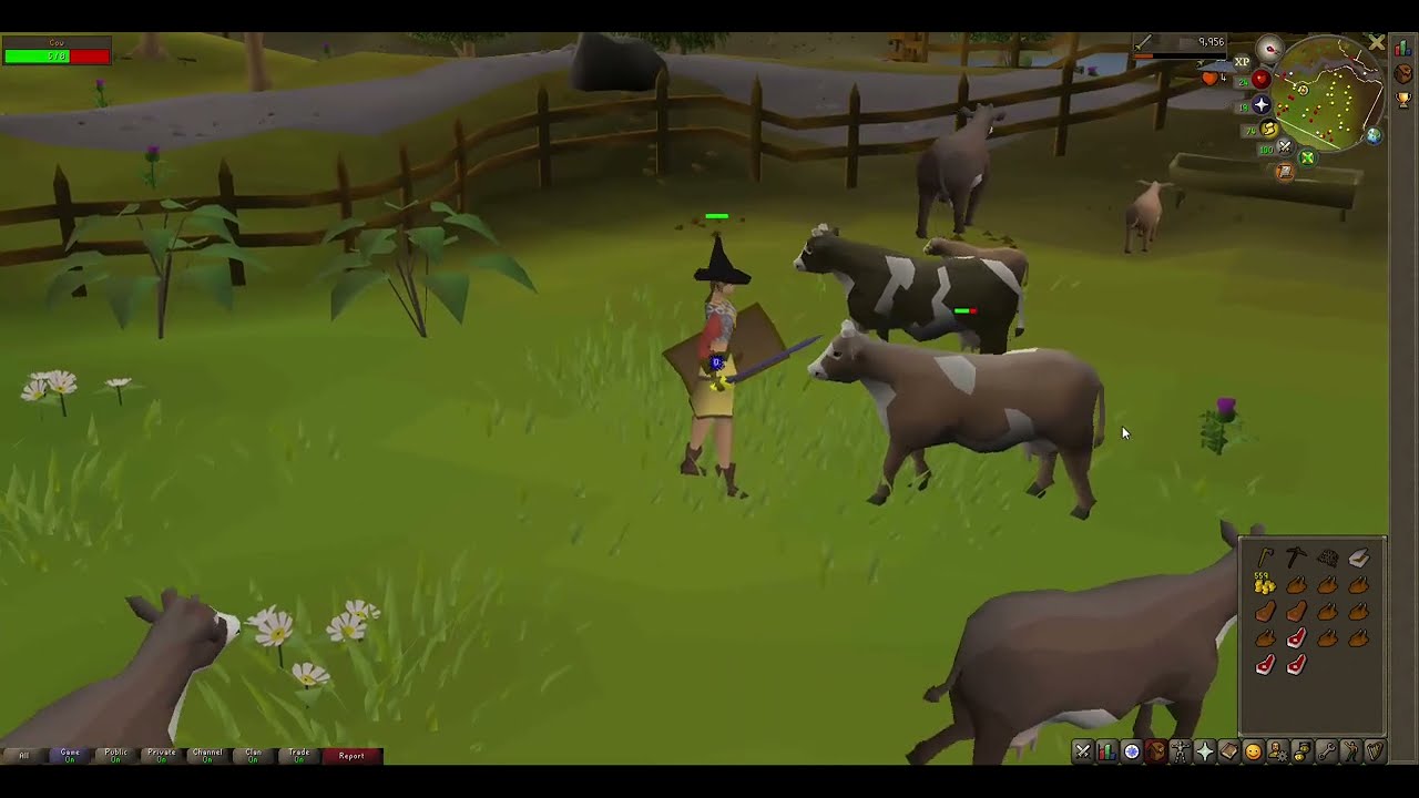 OSRS - Having beef for dinner.
