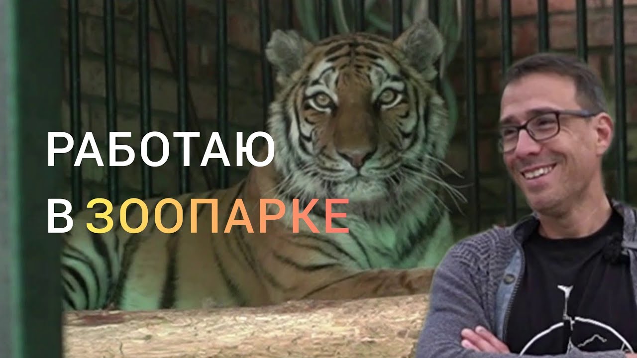 Зоопарк: все тонкости работы.