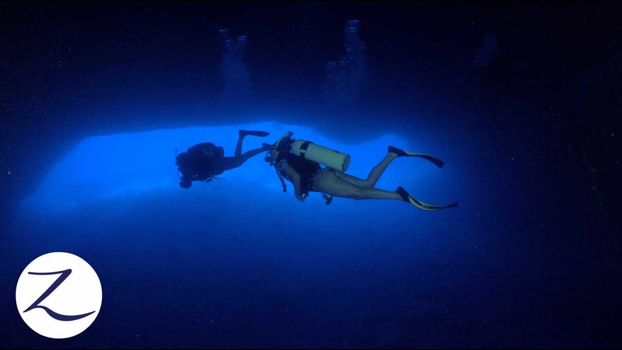 Scuba Diving a MASSIVE CAVE! // The Underwater World of Tonga (Ep 95)