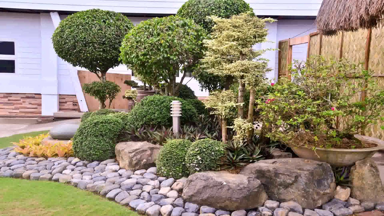 Landscape Design Olive Trees