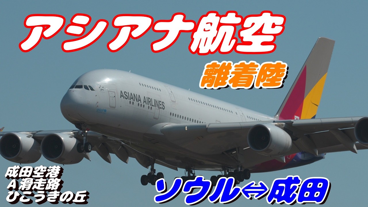 【4K】成田空港 ひこうきの丘 アシアナ航空超巨大旅客機エアバスA380 ソウル成田間離着陸
