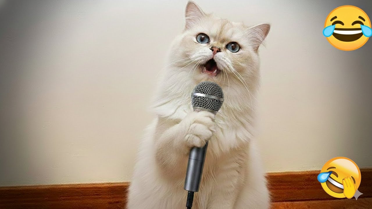 You Laugh You Lose 😁 Funniest Cats and Dogs 2026🦴😹 Part 13