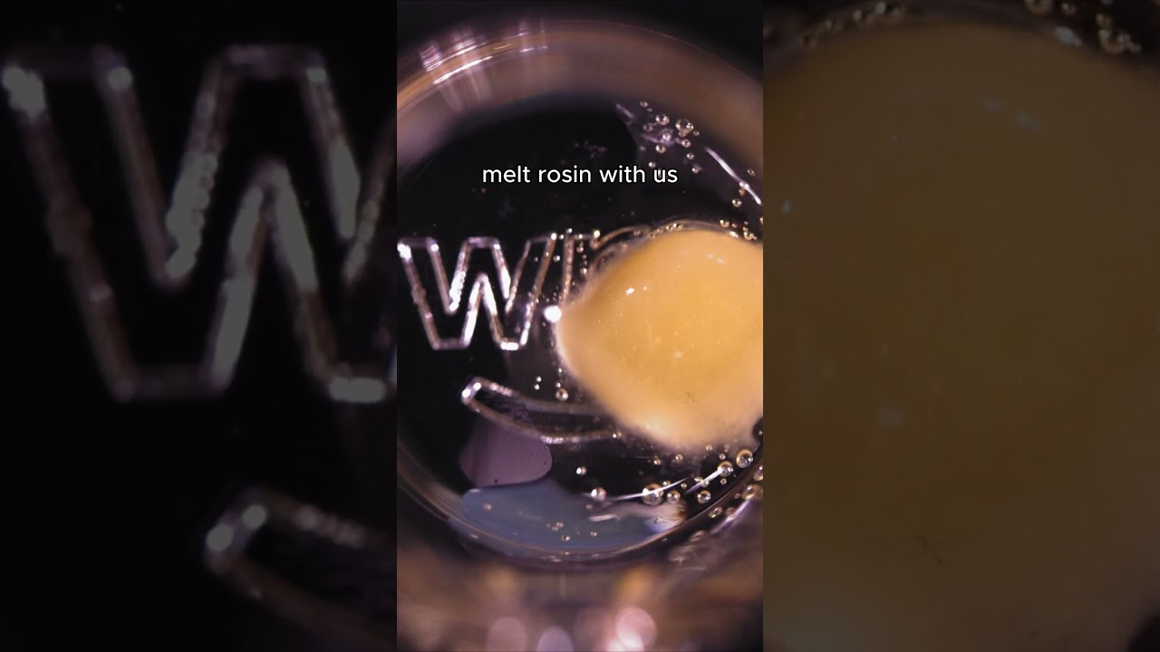 Melt Rosin With Us 🤤