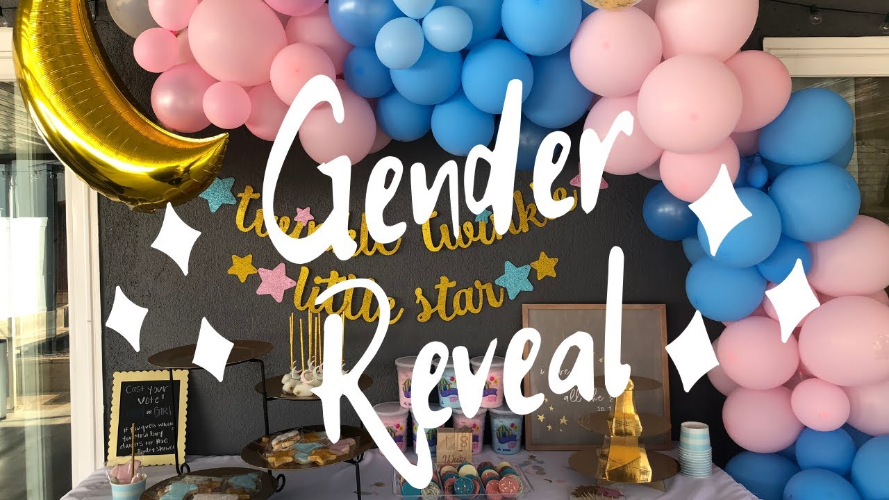 Our Gender Reveal | Twinkle Little Star How We Wonder What You Are