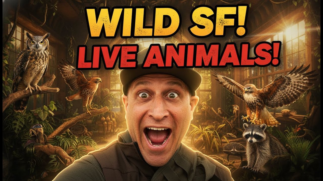 Live Animals in the Heart of San Francisco | Randall Museum