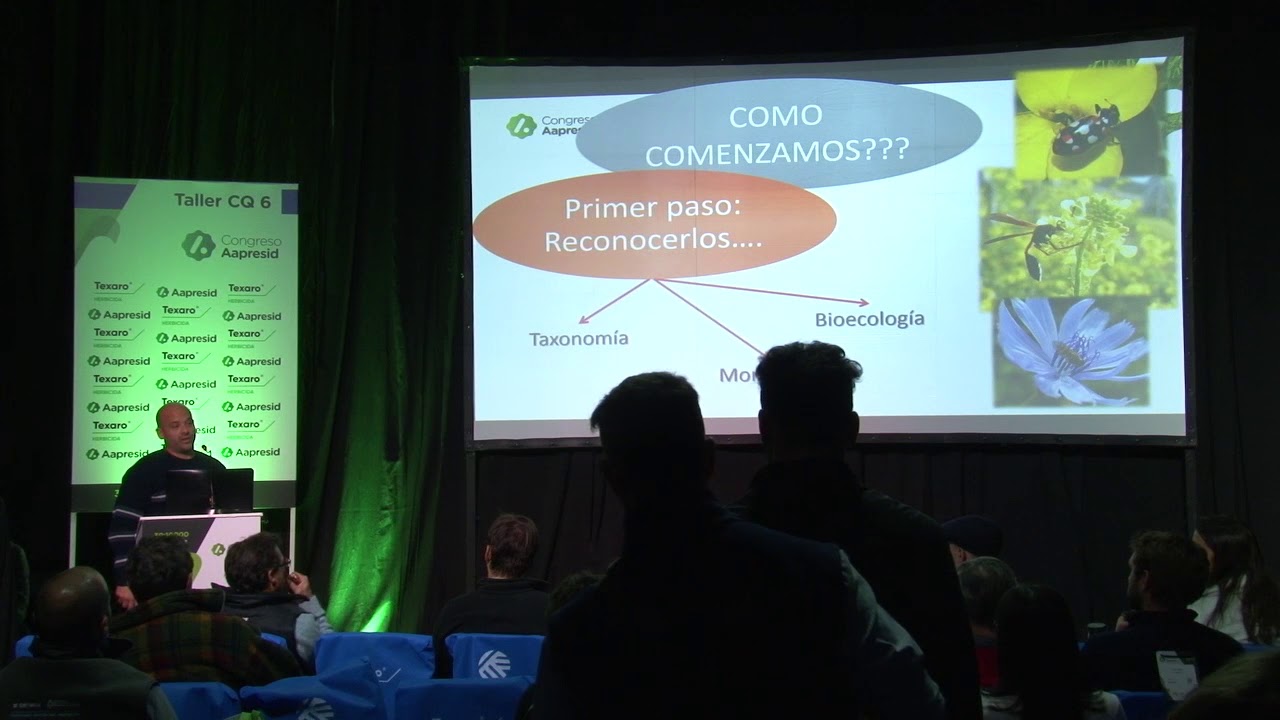 Insectos Benéficos ¿los sabemos aprovechar?