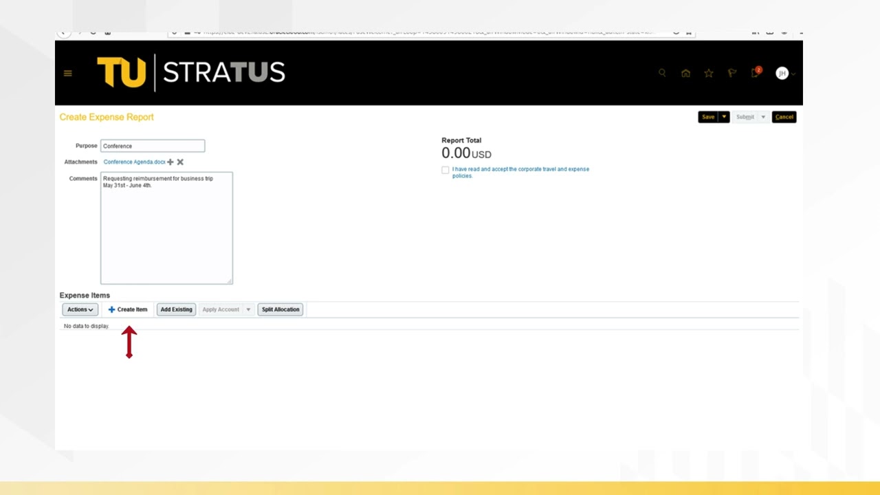 Creating a Travel Expense Report