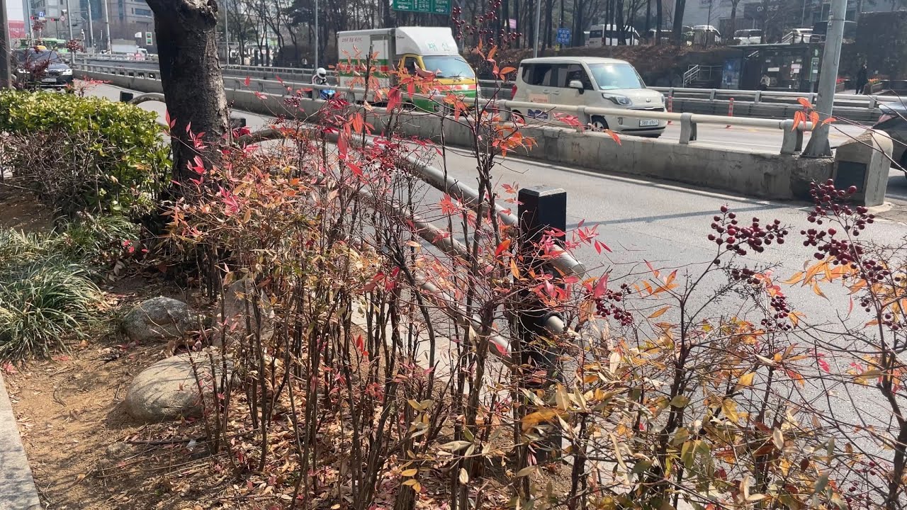 봄 spring 春
