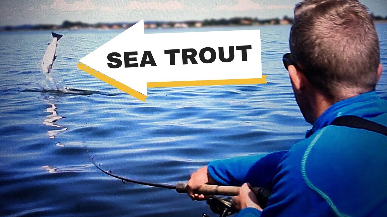 Fishing for GIANT SEA TROUT in DENMARK, EUROPE!