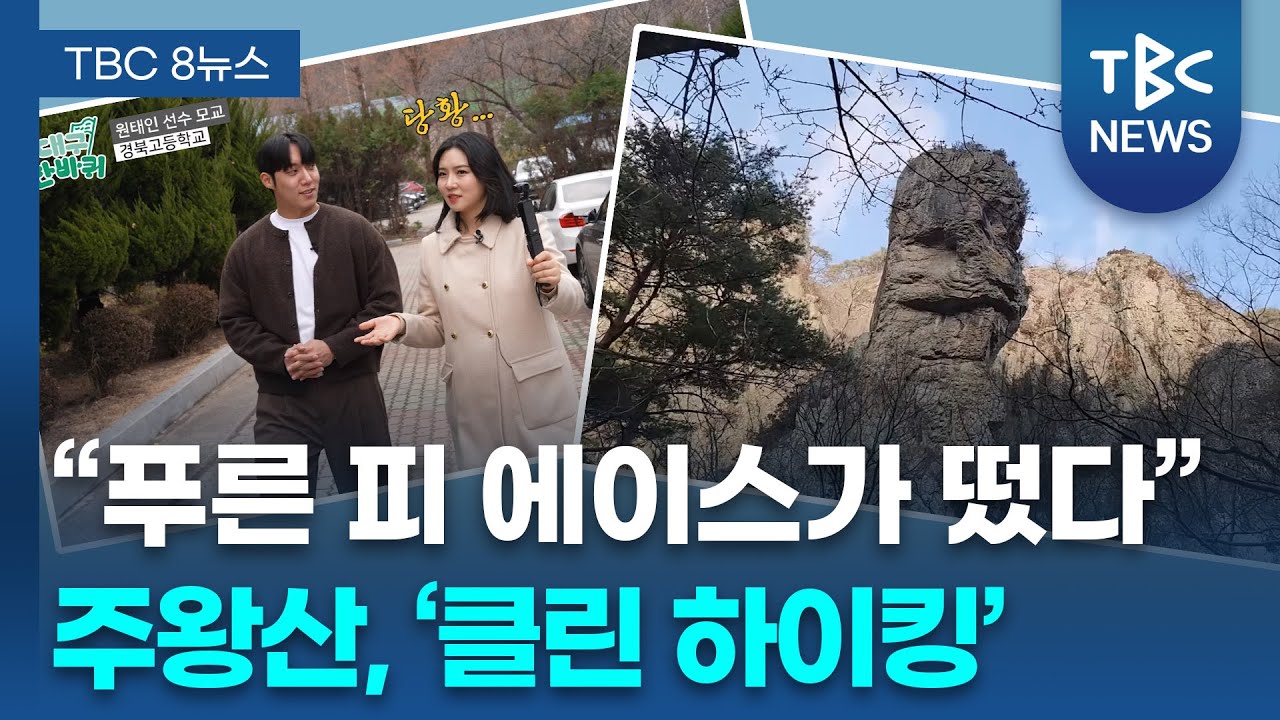 [SNS톡톡] 대구 황금동 숨은 명소 어디?... 주왕산 '클린 하이킹' | TBC뉴스