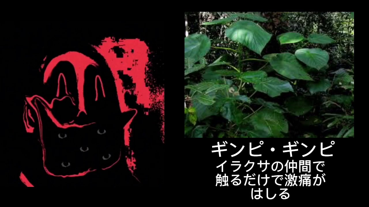 Mr.インクレディブルが見る猛毒の植物