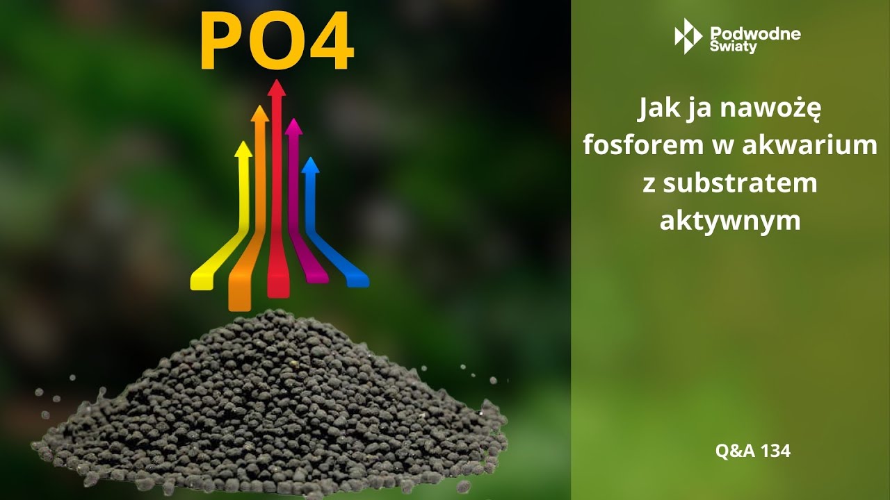 Jak nawożę fosforem w akwarium z substratem aktywnym. Q&A134