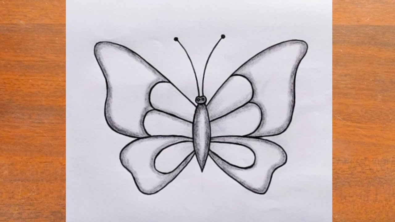 Научитесь легко рисовать бабочку / Как легко нарисовать бабочку шаг за шагом / Рисование бабочки