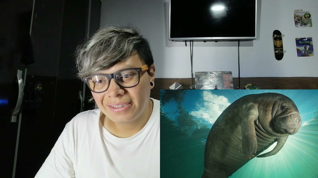 MEXICANO reacciona a 76 CURIOSIDADES QUE SEGURO NO SABÍAS DE COSTA RICA PARTE 1