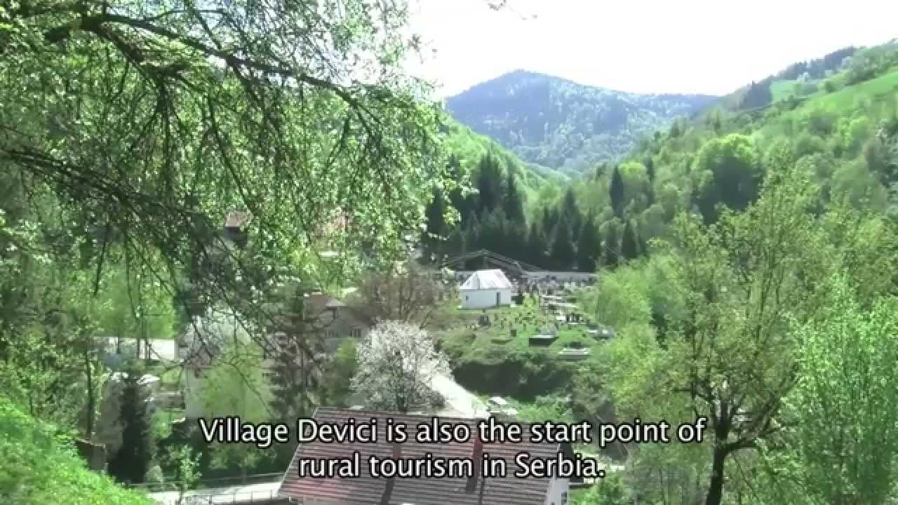 Magnolia in Serbian village Devici