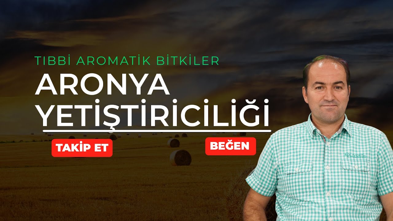 ARONYA VE TIBBİ AROMATİK BİTKİLER FESTİVALİ | ARONYA YETİŞTİRİCİLİĞİ | TIBBİ AROMATİK BİTKİLER |