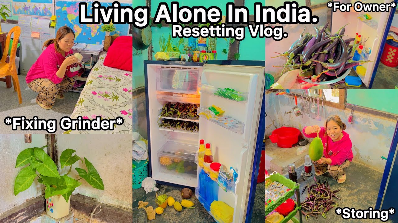 Living Alone in India✨Back to My Room🎀Storing|Resetting Refrigerator🌿Healthy Food🦋
