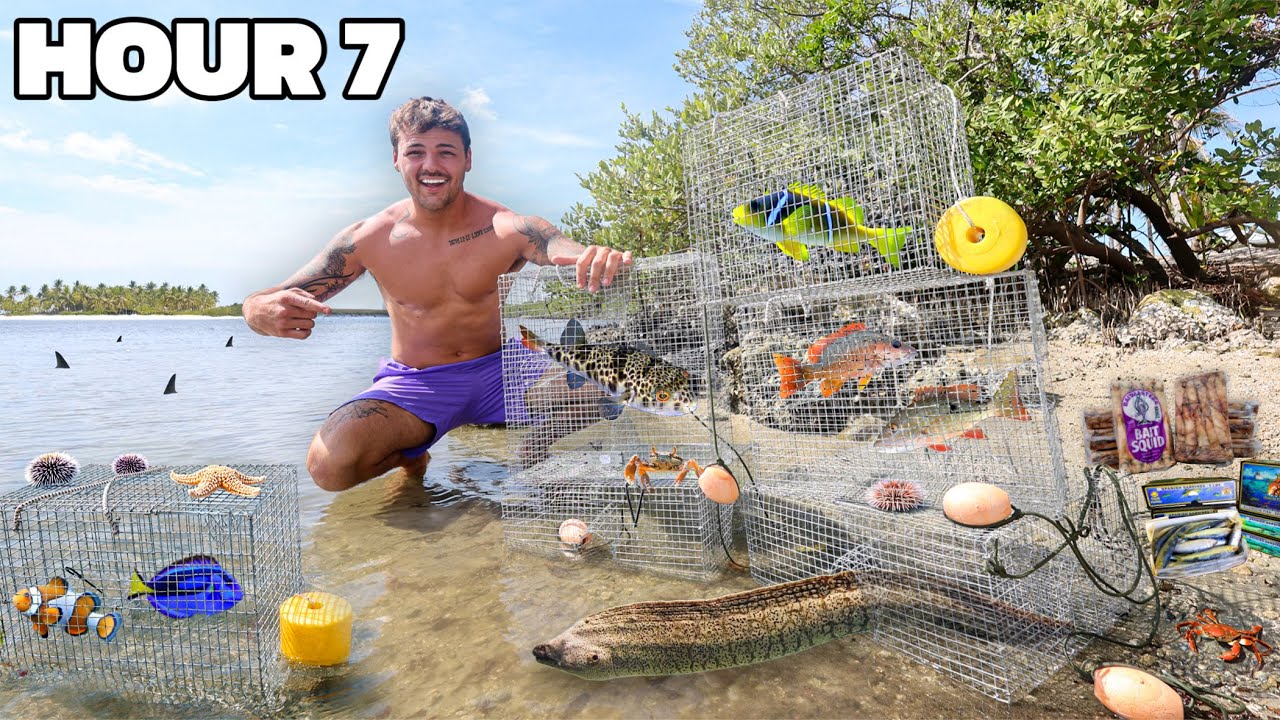 Using FISH TRAPS to Catch SEA CREATURES for My POND!!