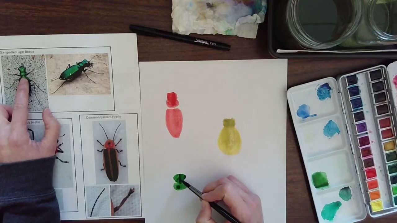 Painting Beetles - Virtual Sketchbook Practice | Nature Journaling Club