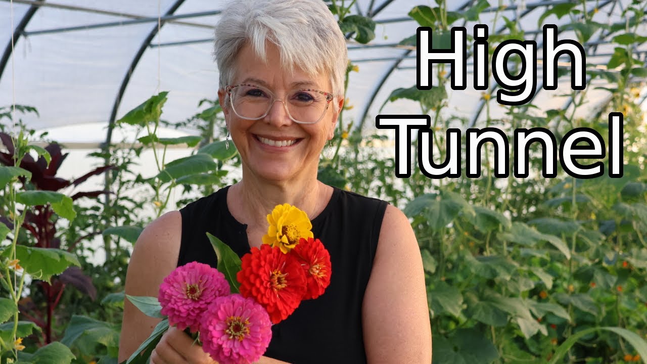 Morning Chores in the High Tunnel....Tomatoes, Cucumbers, Carrots and Flowers