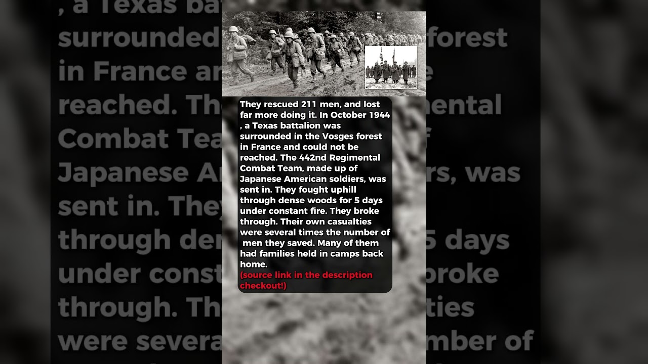 Rescued 211 men and lost far more doing it #short #history #ww2