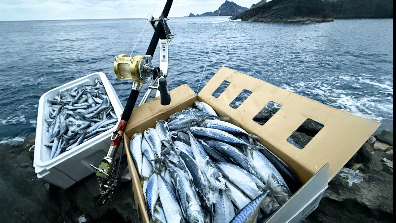 最高峰の大物釣り場で巨大クエ、巨大ヒラマサに単独で挑む！約40時間の釣り生活【男女群島編】前編