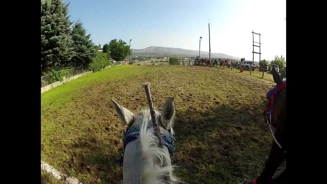 World famous Omak Suicide Race 2012