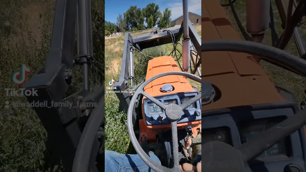 Weed Harvest 2024 #harvest2024 #johndeere  #farmtoys #farming #farm