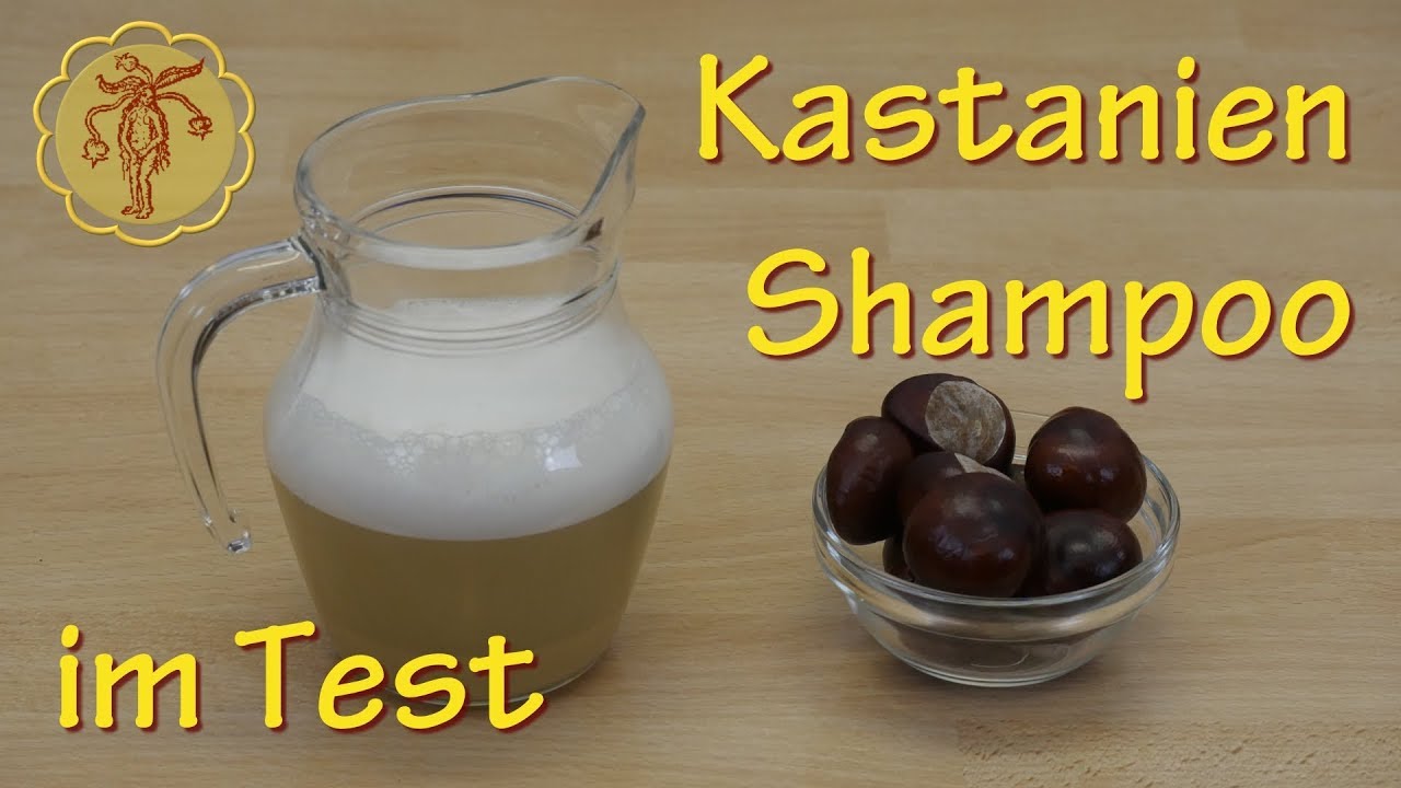 Ich teste Kastanien-Shampoo (DIY)