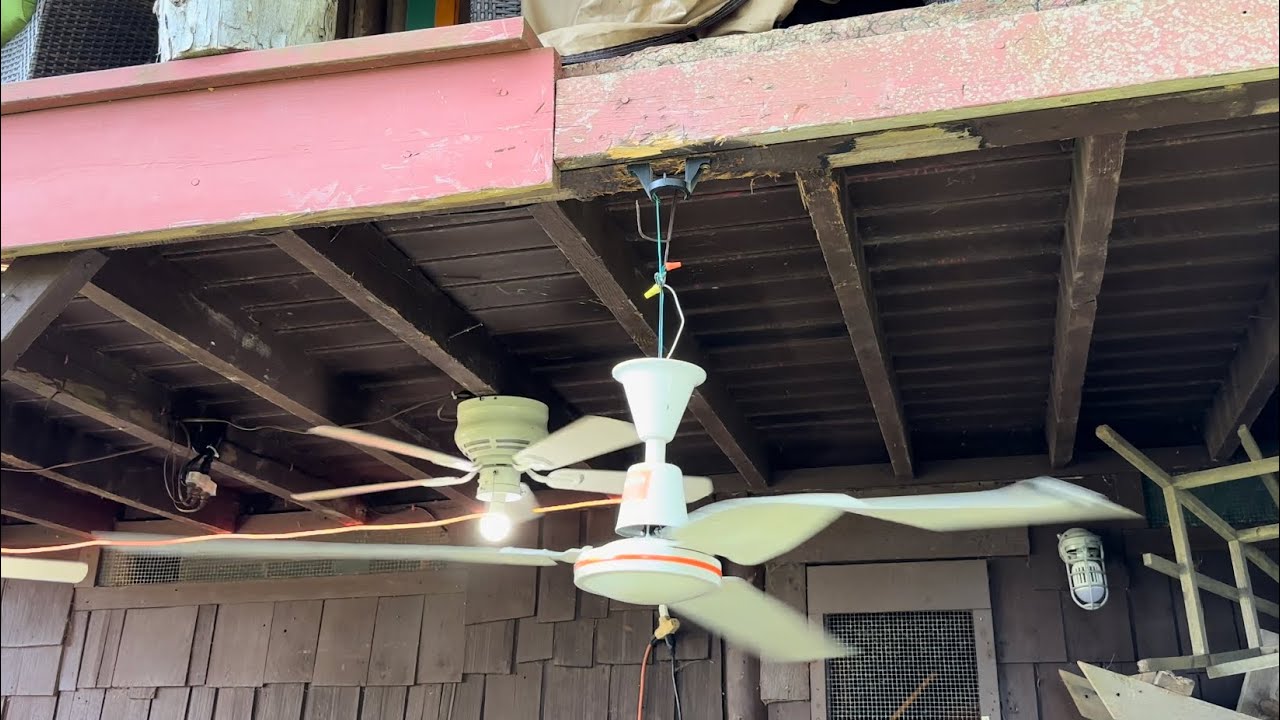 Ceiling Fan Destruction #51