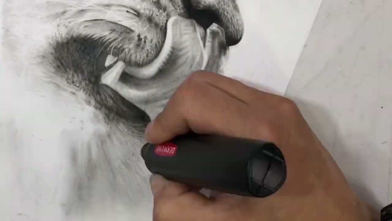 Desenhando Le&otilde;es,t&eacute;cnica mista Carv&atilde;o e grafite no papel Lana Bristol Tamanho A3 🦁✍🏼