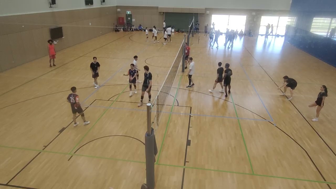 31/1/26 Part 2