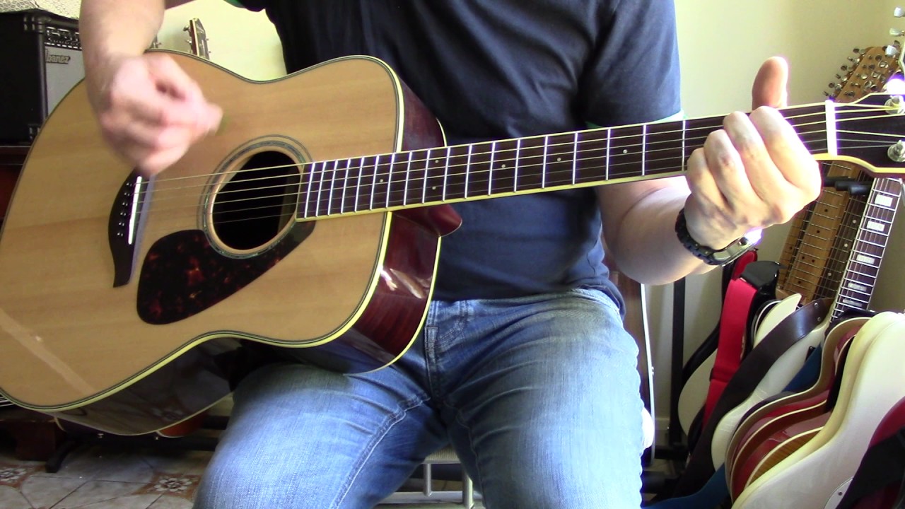 AMI Sigma DR28H and Yamaha FG830