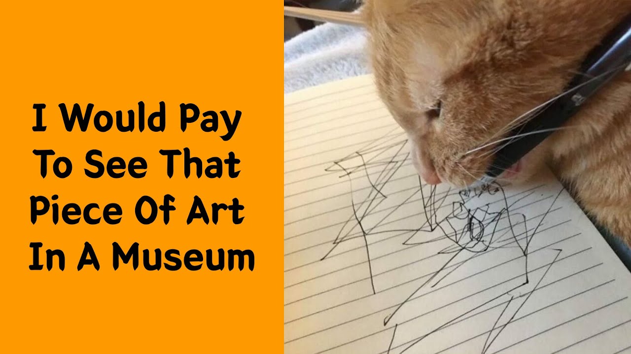 50 Hilarious And Adorable Cat Memes That Prove Why The Internet Loves Them So Much - Cute cat